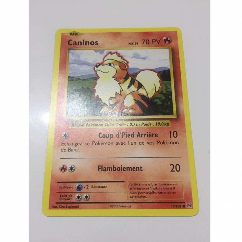 17 108 Carte pokémon caninos 17 108 commune XY XY12 evolutions