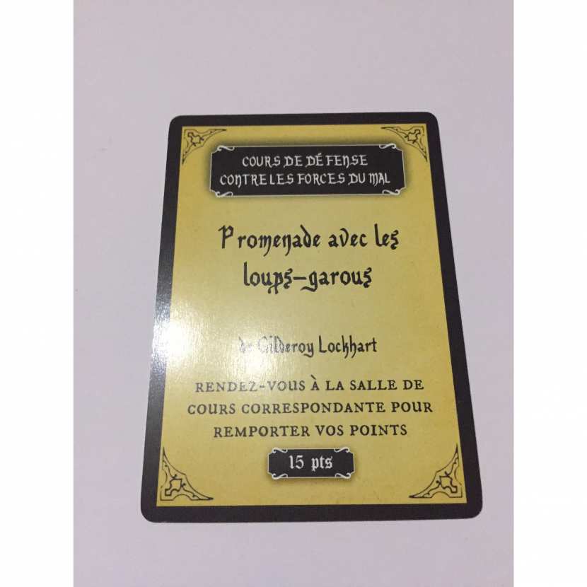 CARTE LIVRES PROMENADE LES LOUPGAROUS HARRY POTTER ANNEE POUDLARD